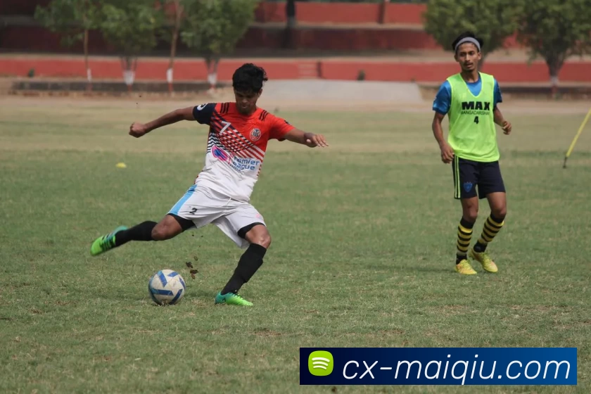 买球赛事预测平台生态图